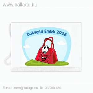 Jeles tarisznya: Kézitáska